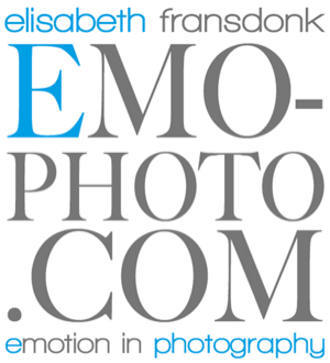 crossfit-silver-lion-tarifs-partenaires-logo-emo-photo